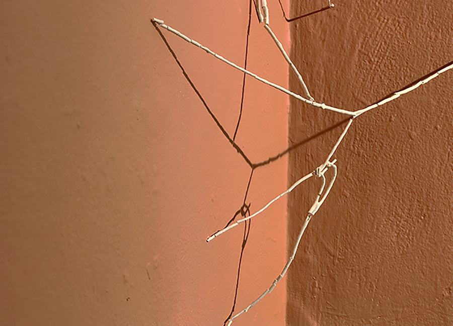 The Body is a Conduit